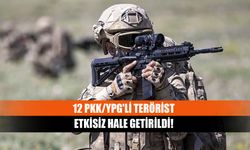 12 PKK/YPG'li terörist etkisiz hale getirildi!