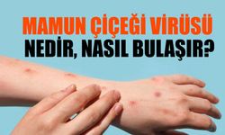 Mamun çiçeği virüsü nedir, nasıl bulaşır?