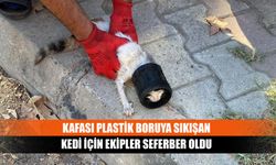 Kafası plastik boruya sıkışan kedi için ekipler seferber oldu