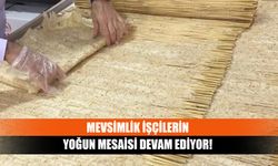 Mevsimlik işçilerin yoğun mesaisi devam ediyor!