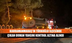 Kahramanmaraş'ın Türkoğlu ilçesinde çıkan orman yangını kontrol altına alındı