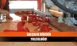 Salçalık biberin yolculuğu!