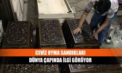 Ceviz oyma sandıkları dünya çapında ilgi görüyor