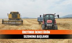 Üretimde ikinci ürün sezonuna başlandı