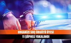 Organize suç örgütü üyesi 11 şüpheli yakalandı ve 11'i de tutuklandı