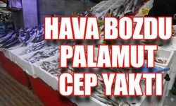 Hava Bozdu Palamut Cep Yaktı