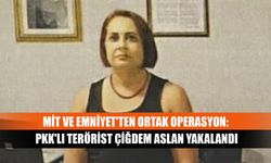 MİT ve Emniyet'ten ortak operasyon: PKK'lı terörist Çiğdem Aslan yakalandı