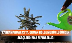 Kahramanmaraş’ta, Orman Bölge Müdürlüğünden Ağaçlandırma Seferberliği