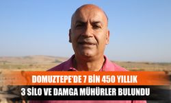 Domuztepe'de 7 Bin 450 Yıllık 3 Silo ve Damga Mühürler Bulundu