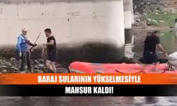 Baraj sularının yükselmesiyle mahsur kaldı!