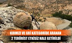 Kırmızı ve Gri Kategoride Aranan 2 Terörist Etkisiz Hale Getirildi