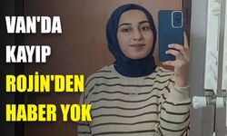 Van'da kayıp Rojin'den haber yok