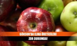 Göksun’da elma üreticileri zor durumda!