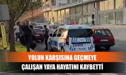 Yolun Karşısına Geçmeye Çalışan Yaya Hayatını Kaybetti