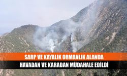 Sarp ve kayalık ormanlık alanda havadan ve karadan müdahale edildi