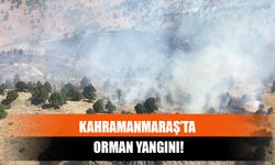 Kahramanmaraş’ta Orman Yangını!