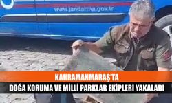 Kahramanmaraş’ta doğa koruma ve milli parklar ekipleri yakaladı