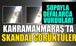 Kahramanmaraş'ta Skandal Görüntüler: Sopayla Defalarca Vurdular!