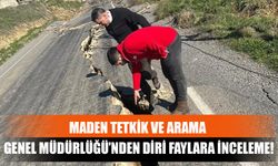 Maden Tetkik Ve Arama Genel Müdürlüğü’nden Diri Faylara İnceleme!