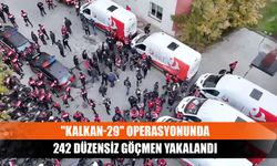 "Kalkan-29" operasyonunda 242 düzensiz göçmen yakalandı