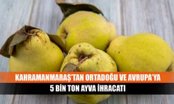 Kahramanmaraş’tan Ortadoğu Ve Avrupa’ya 5 bin ton ayva ihracatı