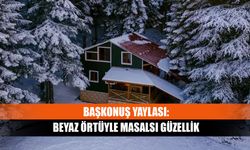 Başkonuş Yaylası: Beyaz örtüyle masalsı güzellik