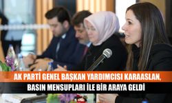 AK Parti Genel Başkan Yardımcısı Karaaslan, basın mensupları ile bir araya geldi