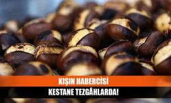 Kışın habercisi kestane tezgâhlarda!