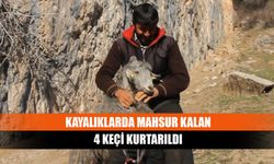 Kayalıklarda Mahsur Kalan 4 Keçi Kurtarıldı