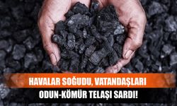 Havalar Soğudu, Vatandaşları Odun-Kömür Telaşı Sardı!