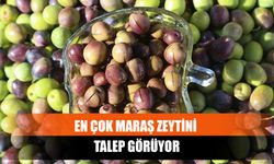 En Çok Maraş Zeytini Talep Görüyor