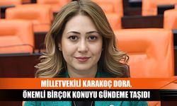 Milletvekili Karakoç Dora, önemli birçok konuyu gündeme taşıdı