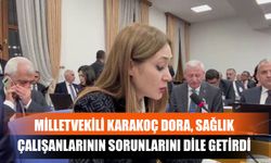 Milletvekili Karakoç Dora, Sağlık Çalışanlarının Sorunlarını Dile Getirdi