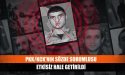 PKK/KCK'nın sözde sorumlusu etkisiz hale getirildi