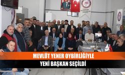 Mevlüt Yener oybirliğiyle yeni başkan seçildi