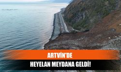 Artvin'de Heyelan Meydana Geldi!