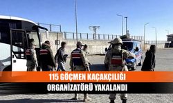 115 göçmen kaçakçılığı organizatörü yakalandı