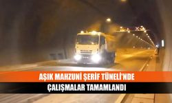 Aşık Mahzuni Şerif Tüneli'nde çalışmalar tamamlandı