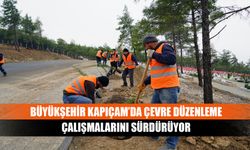 Büyükşehir Kapıçam’da Çevre Düzenleme Çalışmalarını Sürdürüyor