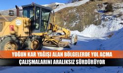 Yoğun kar yağışı alan bölgelerde yol açma çalışmalarını aralıksız sürdürüyor