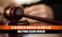 6 yıl üçer ay hapis ve 180 bin TL de adli para cezası verildi