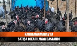 Kahramanmaraş’ta satışa çıkarılmaya başlandı