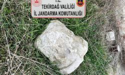 Tekirdağ'da Roma dönemine ait antik sütun başlığı ele geçirildi