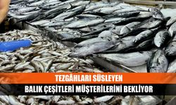 Tezgâhları süsleyen balık çeşitleri müşterilerini bekliyor