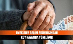 Emekliler geçim sıkıntısından köy hayatına yöneliyor