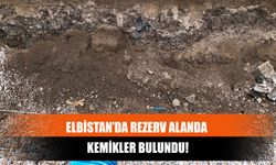 Elbistan’da Rezerv Alanda Kemikler Bulundu!