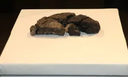 Kazıda 5 bin yıllık ekmek bulundu!