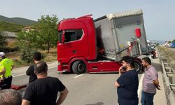 Bir arı, yüzlerce kişiyi yolda bıraktı
