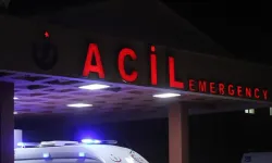 70 yaşındaki adam baltayla öldürüldü