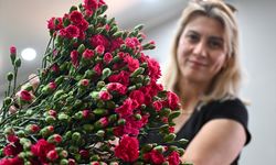 Antalya'dan Dünyaya Çiçek Yağmuru!